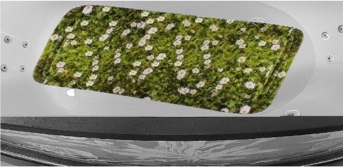 Small cloud bath liner - small,