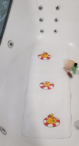 Deco line duck multicolour - duck,